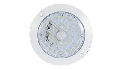 LAPCV424/PIR Motion Sensor